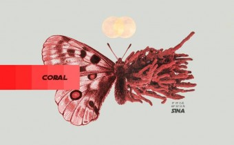 Prima uscita ufficiale Arcade Army: Sina “Coral EP” prodotto da Brindabob