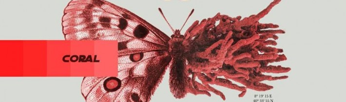 Prima uscita ufficiale Arcade Army: Sina “Coral EP” prodotto da Brindabob